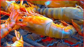 How to grill SHRIMPS River prawn, Squid and Barramundi - Street Food