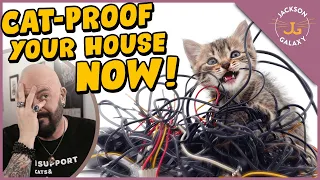 How to Cat-Proof Your Home!