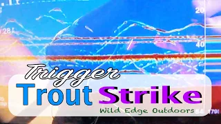 Trigger Trout Strike / Underwater Footage