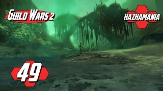 [GW2] Let's play #049 ► Le randonneur