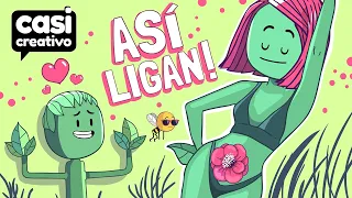 Así Ligan Las Plantas | Casi Creativo