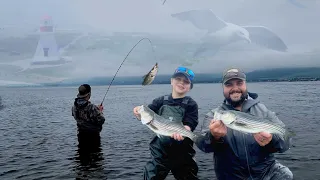 Pêche au bar rayé à carleton S7-E4