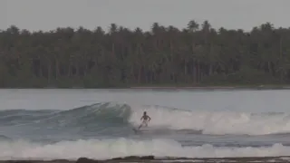 Jeli Surfing Air Reverse