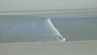 Scary incoming tide & silly tourists on sand at World Heritage Site Mont St Michel Normandy France