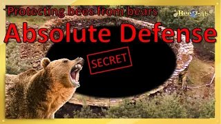 How to Protect Honeybees from Bears