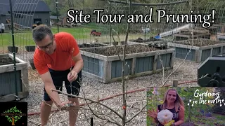 I toured Gardening in the North's new site, and pruned her trees