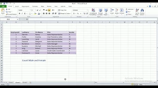 Count Male and Female using Excel