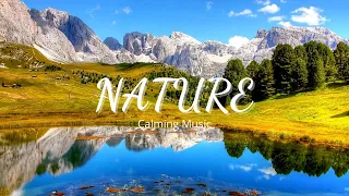 Morning Relaxing Music - Piano Music For Stress Relief And Studying (Riley) | Nature