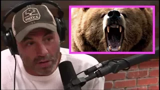 Joe Rogan STUNNED By Bear Attack Story