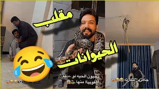 بيت رشك مقلب الحيوانات بخالي وانور 😂 موت ضحك 😂