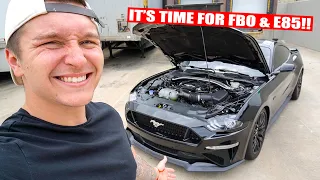 IT'S GO TIME!! Buying FBO + E85 for 2020 Mustang GT 10 SPEED!! *N/A BUILD*