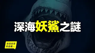 遠洋白鰭鯊：會微笑、很溫順，但為何突然開始襲擊人類？真相，从1972年的一樁懸案說起……|自說自話的總裁