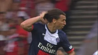 Ligue 1 - Week 4 : Goals compilation - 2013/2014