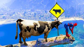 GTA 5 Funny Ragdolls SPIDERMAN vs COW EPIC (funny moments)