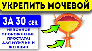 Мочевой пузырь и простата будут, как новые! ЛУЧШЕЕ упражнение для мужчин и женщин!