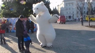 Белый медведь танцует. Прикол