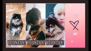 Yeontan appearances compillation part 2