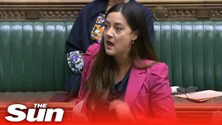 'Sit down!', 'Why don't you make me?', Huge row breaks out in the Commons