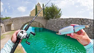 Public Pond Hopping URBAN Honey Holes!