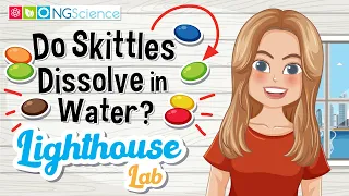 Lighthouse Lab – Do Skittles Dissolve in Water?