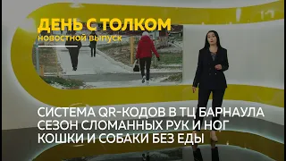 «День с Толком». 01.11.2021