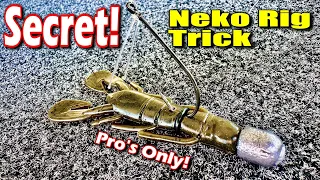 The Pro's Secret Neko Rig Trick