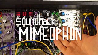 Explaining the Make Noise Mimeophon Delay.