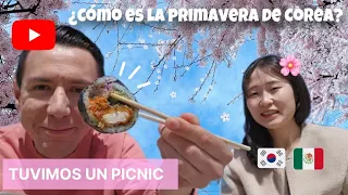 ¿Qué hacen los coreanos en primavera? Primavera en Corea del Sur