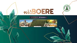 Nisboere 8 | Episode 06