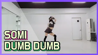 SOMI(전소미)-DUMB DUMB덤덤 커버댄스 dance cover[mirrored]