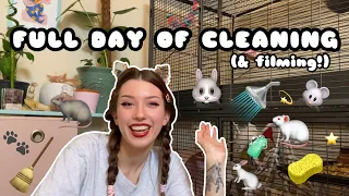 CLEANING all my PET ENCLOSURES in one video! ʕ ꈍᴥꈍʔ