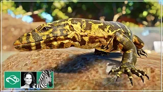 🦓 Nile Monitor & Underwater Viewing | Let's play Planet Zoo Franchise Mode | BETA | Gameplay |