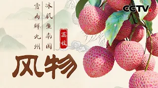 你见过鸡蛋大的荔枝吗？唯美美食纪录片《风物：荔枝》告诉你中国哪儿的荔枝更好吃？几千年来，中国人拿荔枝做足了文章 | CCTV「风物」20220802