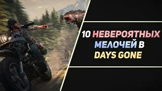 10 НЕВЕРОЯТНЫХ МЕЛОЧЕЙ В DAYS GONE