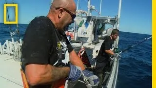 Catch of the Week - Tuna Trifecta | Wicked Tuna