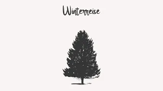 NEW ALBUM -  Winterreise  - NEW ALBUM - 🎶 Mozart & Schubert 🎶