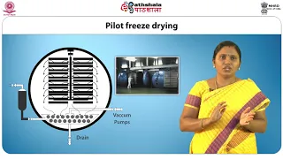 Freeze Drying and Rotary Drying Process