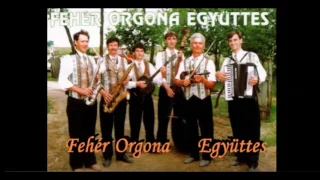 Fehér Orgona Együttes ~ Kócos fejed, ha rám hajtod _ Album