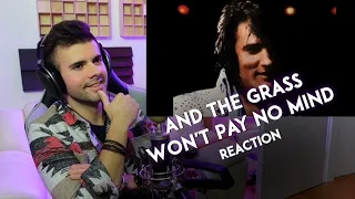 MUSICIAN REACTS to Elvis Presley - And the Grass Won’t Pay No Mind