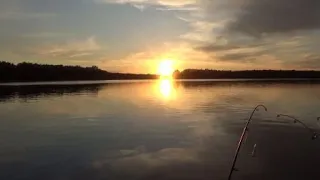 Река Дон .  Первая летняя рыбалка 2020
