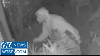 New video of Peeping Tom released