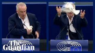 Confusion after MEP releases 'peace dove' from pocket in European parliament