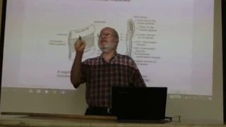 Respiratory module 17 ( thoracic wall . part 1 ) by , Dr. Wahdan