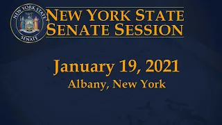 New York State Senate Session - 01/19/21