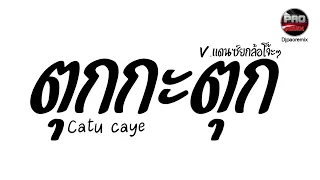 #มาแรงในTikTok ( ตุกกะตุก ) catu caye V.แดนซ์ยกล้อโจ๊ะๆ Pao Remix