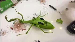 mantis toy