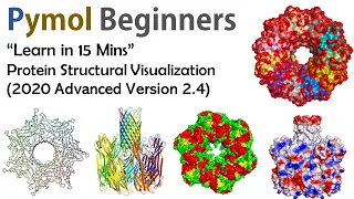 Pymol for beginners | Basic Tutorial Molecular Visualization of Proteins | Bioinformatics