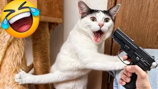 Laugh Out Loud! The Funniest Animal Videos of 2024 #4