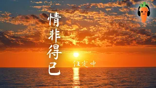 情非得已 (中英文版) - 汪定中《流星花园》「超高无损音質」 ♪【動態歌詞Lyrics】♪