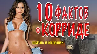 Испания Жизнь в Испании. 10 ФАКТОВ О КОРРИДЕ